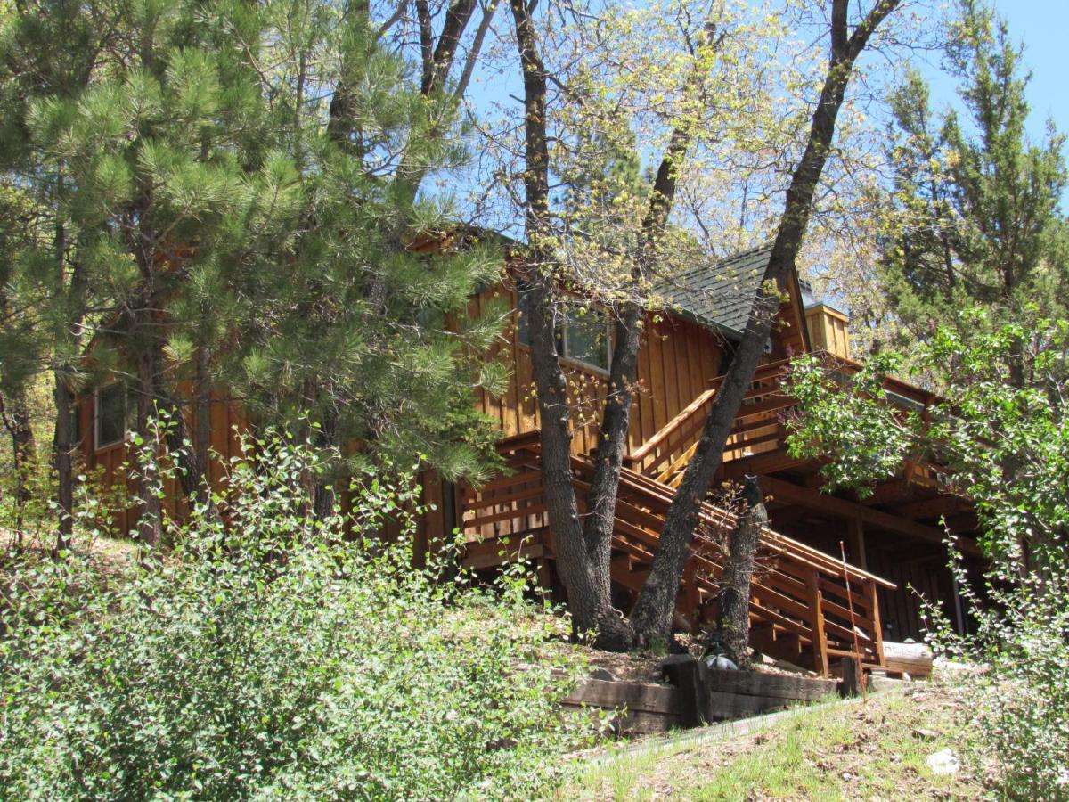 Hillside Hideaway -View Of Ski Slope From Charming Deck Big Bear Lake Esterno foto